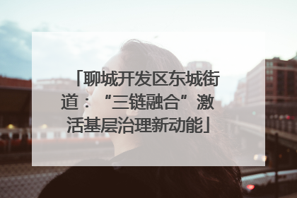 聊城开发区东城街道：“三链融合”激活基层治理新动能