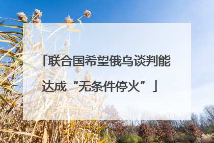 联合国希望俄乌谈判能达成“无条件停火”