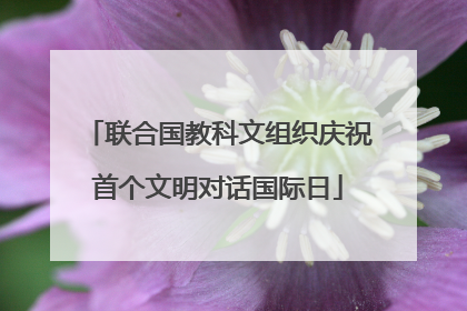 联合国教科文组织庆祝首个文明对话国际日