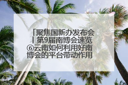 聚焦国新办发布会丨第9届南博会速览⑥云南如何利用好南博会的平台带动作用，深化与南亚国家的交流与合作？