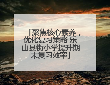 聚焦核心素养，优化复习策略 乐山县街小学提升期末复习效率