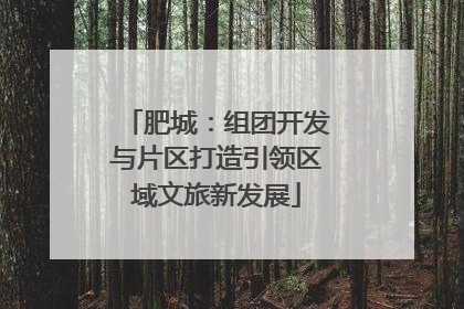 肥城：组团开发与片区打造引领区域文旅新发展