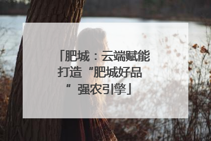 肥城：云端赋能 打造“肥城好品”强农引擎