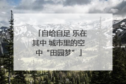 自给自足 乐在其中 城市里的空中“田园梦”