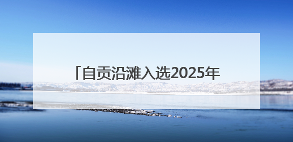 自贡沿滩入选2025年省工业技术改造试点县