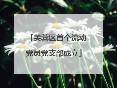 芙蓉区首个流动党员党支部成立