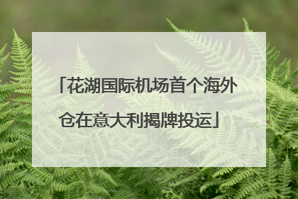 花湖国际机场首个海外仓在意大利揭牌投运
