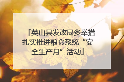 英山县发改局多举措扎实推进粮食系统“安全生产月”活动