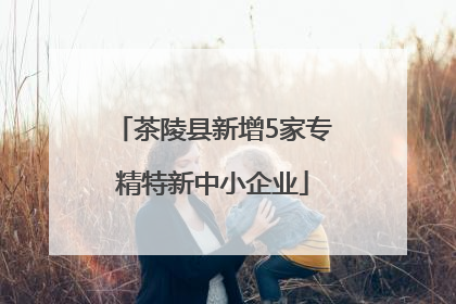 茶陵县新增5家专精特新中小企业