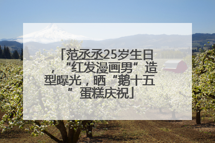 范丞丞25岁生日，“红发漫画男”造型曝光，晒“鹅十五”蛋糕庆祝