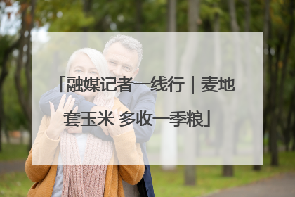 融媒记者一线行｜麦地套玉米 多收一季粮