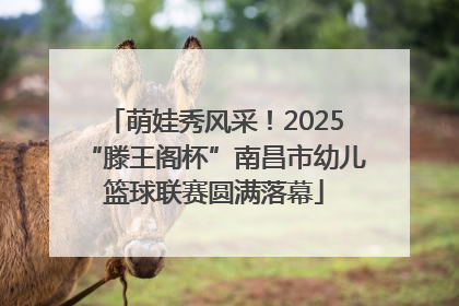 萌娃秀风采！2025“滕王阁杯”南昌市幼儿篮球联赛圆满落幕