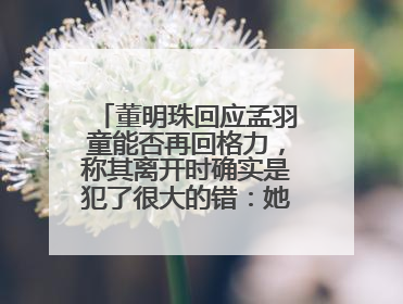 董明珠回应孟羽童能否再回格力，称其离开时确实是犯了很大的错：她对我来说是孩子