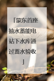 蒙东首座抽水蓄能电站下水库通过蓄水验收