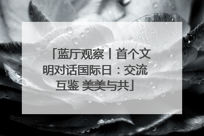 蓝厅观察丨首个文明对话国际日：交流互鉴 美美与共