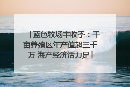 蓝色牧场丰收季：千亩养殖区年产值超三千万 海产经济活力足