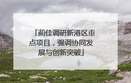 蔺佳调研新港区重点项目，强调协同发展与创新突破