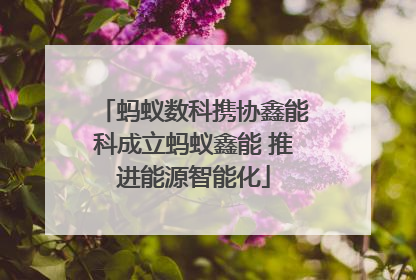 蚂蚁数科携协鑫能科成立蚂蚁鑫能 推进能源智能化