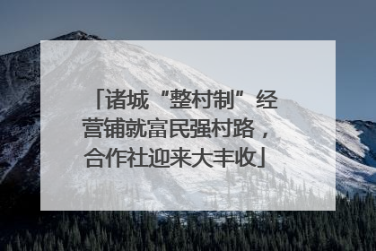 诸城“整村制”经营铺就富民强村路，合作社迎来大丰收