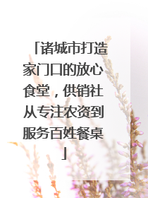 诸城市打造家门口的放心食堂，供销社从专注农资到服务百姓餐桌