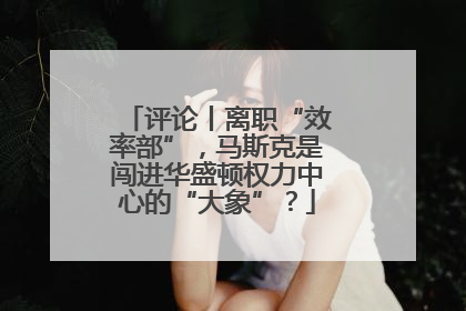 评论丨离职“效率部”，马斯克是闯进华盛顿权力中心的“大象”？