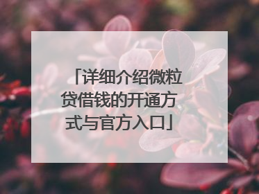 详细介绍微粒贷借钱的开通方式与官方入口