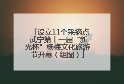 设立11个采摘点 武宁第十一届“新光杯”杨梅文化旅游节开幕（组图）