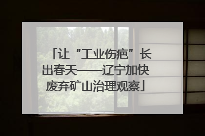 让“工业伤疤”长出春天——辽宁加快废弃矿山治理观察