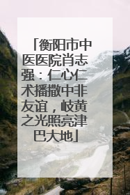 衡阳市中医医院肖志强：仁心仁术播撒中非友谊，岐黄之光照亮津巴大地