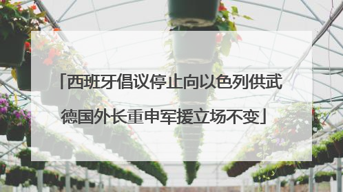 西班牙倡议停止向以色列供武 德国外长重申军援立场不变
