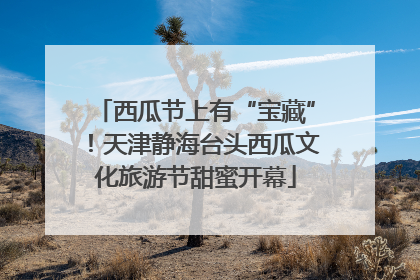 西瓜节上有“宝藏”！天津静海台头西瓜文化旅游节甜蜜开幕