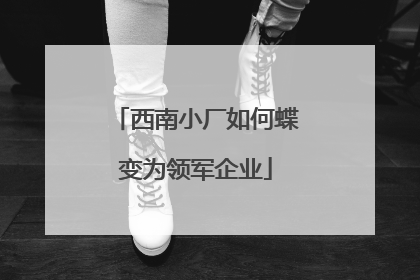 西南小厂如何蝶变为领军企业