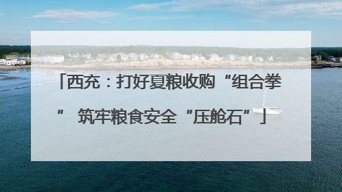 西充：打好夏粮收购“组合拳” 筑牢粮食安全“压舱石”