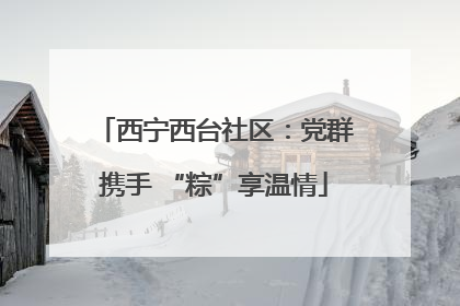 西宁西台社区：党群携手 “粽”享温情