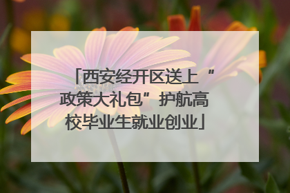 西安经开区送上“政策大礼包”护航高校毕业生就业创业