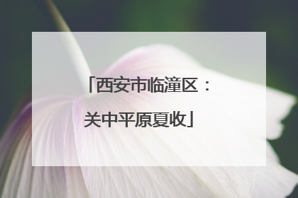 西安市临潼区：关中平原夏收