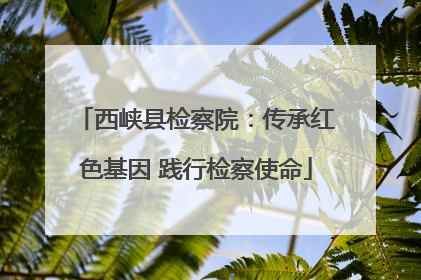 西峡县检察院：传承红色基因 践行检察使命
