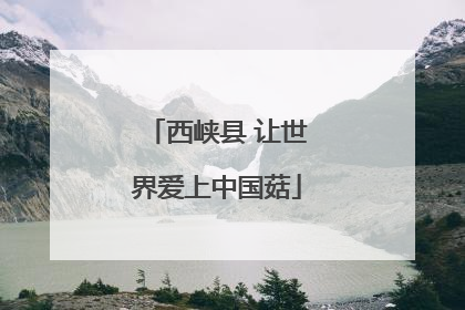 西峡县 让世界爱上中国菇