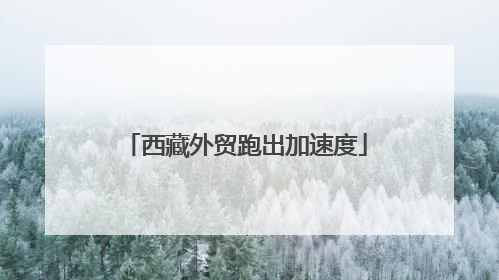 西藏外贸跑出加速度