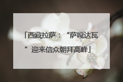 西藏拉萨：“萨嘎达瓦”迎来信众朝拜高峰