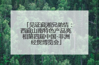 见证藏湘兄弟情：西藏山南特色产品亮相第四届中国-非洲经贸博览会
