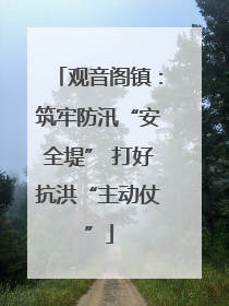 观音阁镇：筑牢防汛“安全堤” 打好抗洪“主动仗”