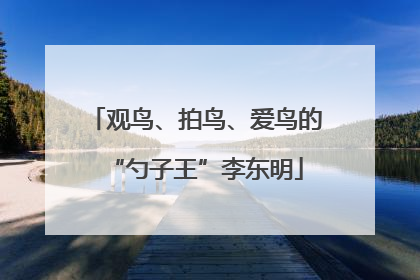 观鸟、拍鸟、爱鸟的“勺子王”李东明