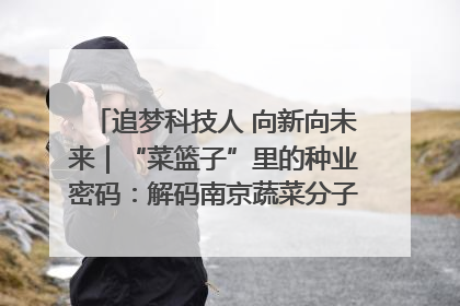 追梦科技人 向新向未来｜“菜篮子”里的种业密码：解码南京蔬菜分子育种的创新之路