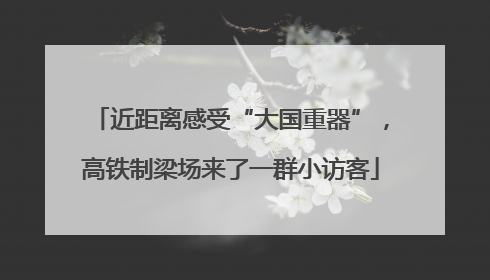 近距离感受“大国重器”，高铁制梁场来了一群小访客