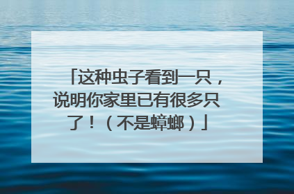 这种虫子看到一只，说明你家里已有很多只了！（不是蟑螂）