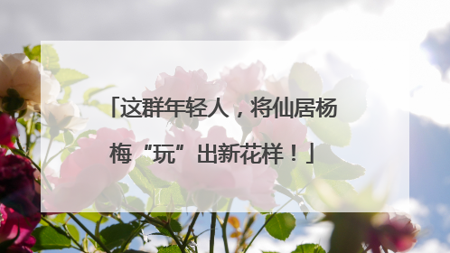 这群年轻人，将仙居杨梅“玩”出新花样！