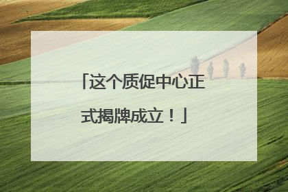这个质促中心正式揭牌成立！