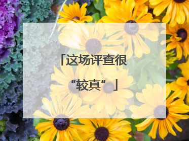 这场评查很“较真”