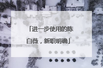 进一步使用的陈白薇，新职明确